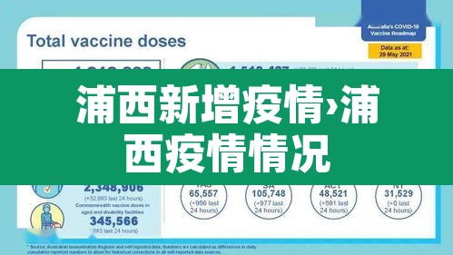 浦西新增疫情›浦西疫情情况 浦西新增疫情›浦西疫情情况