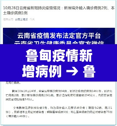 鲁甸疫情新增病例 → 鲁甸疫情防控通知