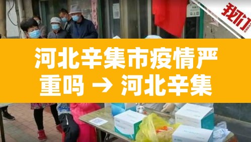 河北辛集市疫情严重吗 → 河北辛集是疫区吗 河北辛集市疫情严重吗 → 河北辛集是疫区吗