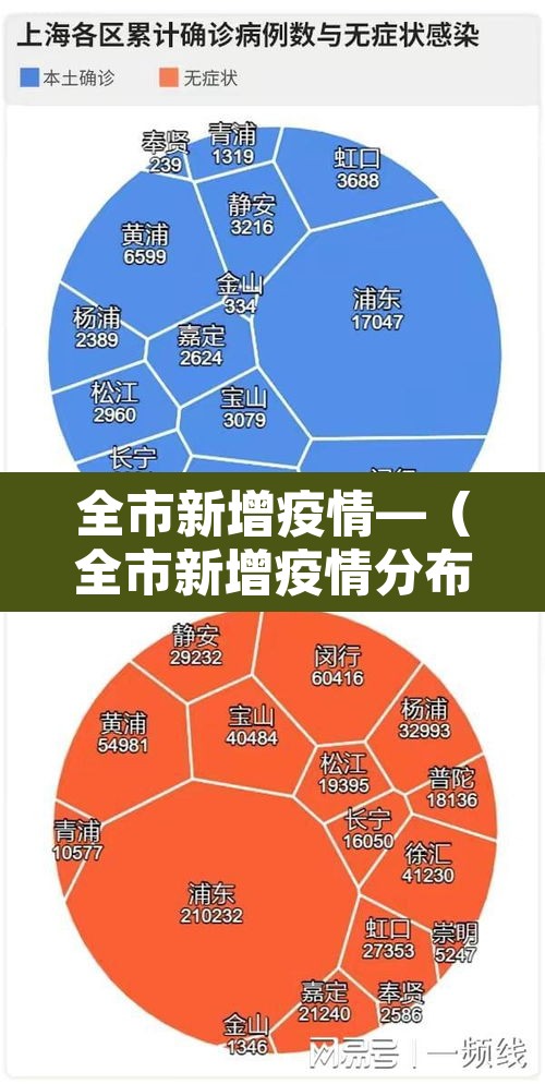 全市新增疫情—（全市新增疫情分布图）