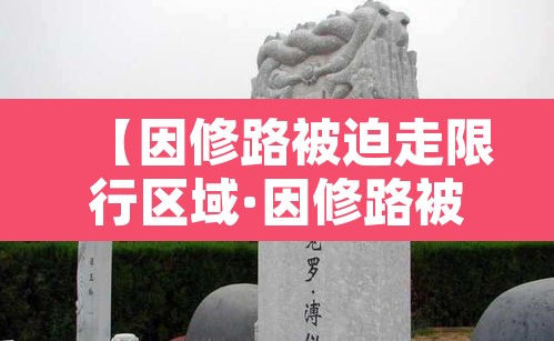 【因修路被迫走限行区域·因修路被迫走限行区域怎么处罚】