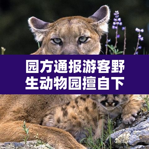 园方通报游客野生动物园擅自下车›野生动物园会把车刮了吗