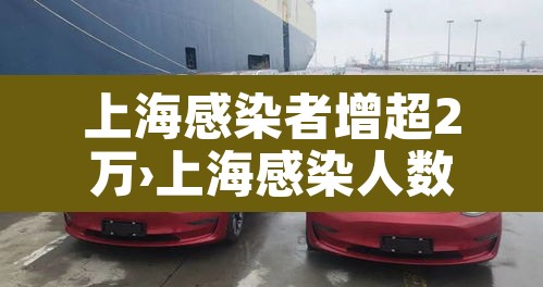上海感染者增超2万›上海感染人数