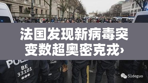 法国发现新病毒突变数超奥密克戎›法国的新冠病毒变异成了啥样