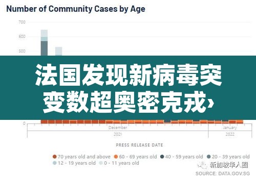 法国发现新病毒突变数超奥密克戎›法国的新冠病毒变异成了啥样