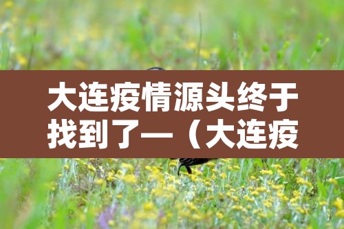 大连疫情源头终于找到了—(大连疫情的源头到底在哪里) 大连疫情源头终于找到了—(大连疫情的源头到底在哪里)