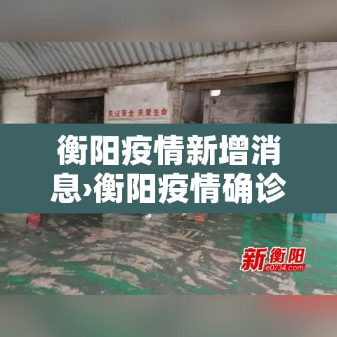衡阳疫情新增消息›衡阳疫情确诊最新消息