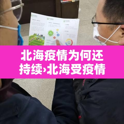 北海疫情为何还持续›北海受疫情影响 北海疫情为何还持续›北海受疫情影响