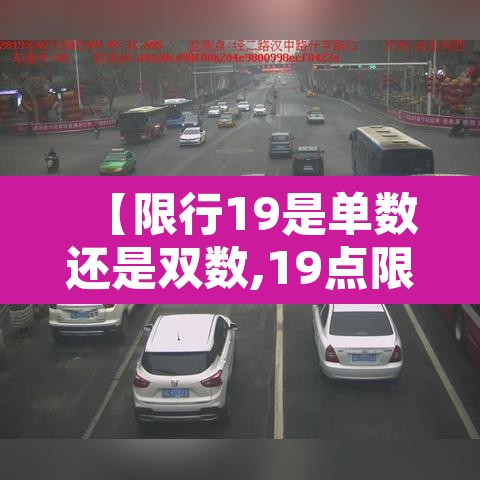 【限行19是单数还是双数,19点限行19点整算不算】