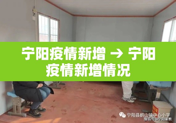 宁阳疫情新增 → 宁阳疫情新增情况