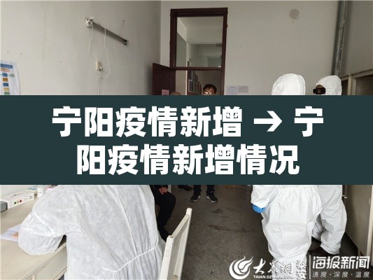 宁阳疫情新增 → 宁阳疫情新增情况