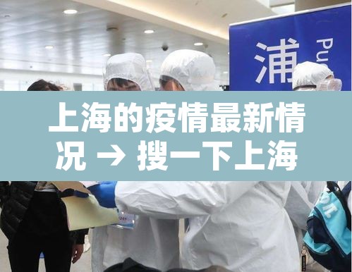 上海的疫情最新情况 → 搜一下上海的疫情情况
