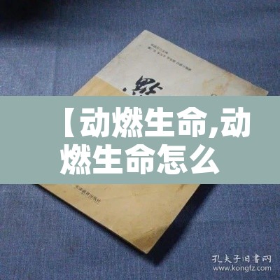 【动燃生命,动燃生命怎么刷多】