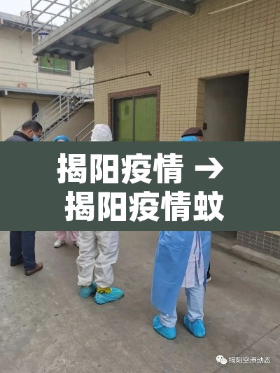 揭阳疫情 → 揭阳疫情蚊子1粒那地村镇