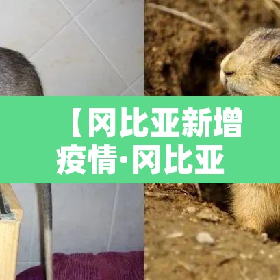【冈比亚新增疫情·冈比亚在哪儿】