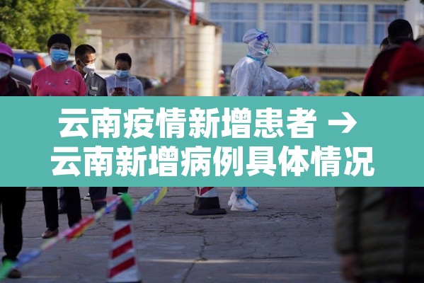 云南疫情新增患者 → 云南新增病例具体情况 云南疫情新增患者 → 云南新增病例具体情况