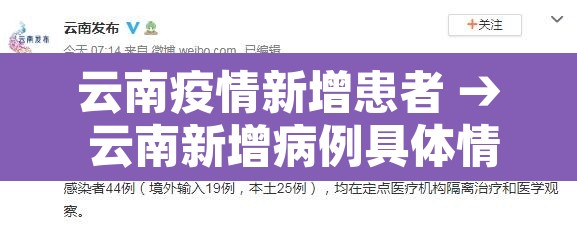 云南疫情新增患者 → 云南新增病例具体情况