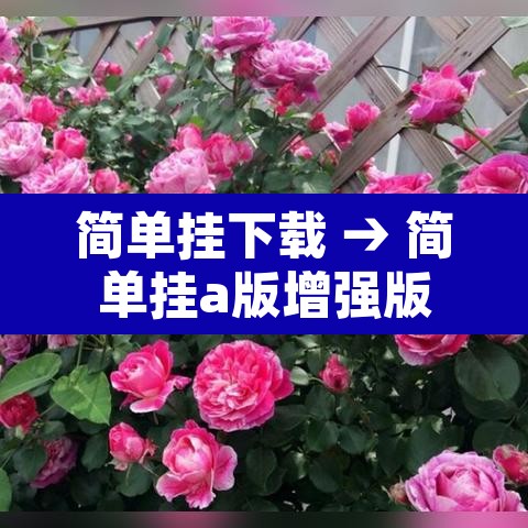 简单挂下载 → 简单挂a版增强版