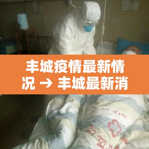 丰城疫情最新情况 → 丰城最新消息
