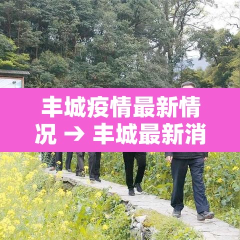 丰城疫情最新情况 → 丰城最新消息 丰城疫情最新情况 → 丰城最新消息