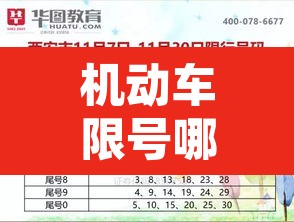 机动车限号哪天开始限行—（机动车限号什么时候开始）