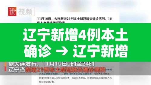 辽宁新增4例本土确诊 → 辽宁新增4例本土确诊病例行动轨迹