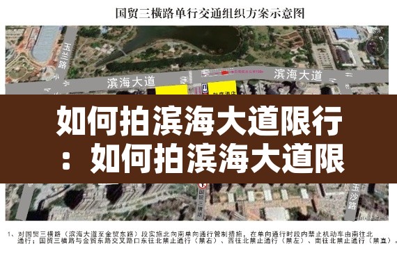 如何拍滨海大道限行：如何拍滨海大道限行照片