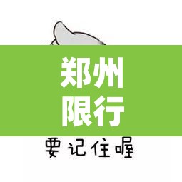 郑州限行日几点可以通行:郑州限行日几点可以通行啊 郑州限行日几点可以通行:郑州限行日几点可以通行啊