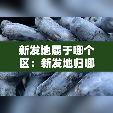 新发地属于哪个区：新发地归哪个区