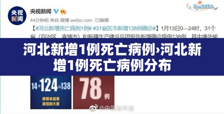河北新增1例死亡病例›河北新增1例死亡病例分布