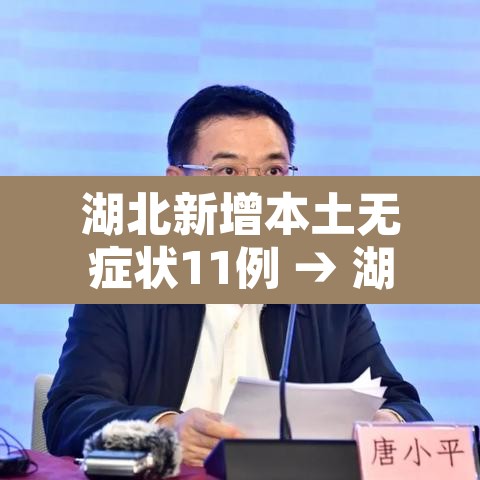 湖北新增本土无症状11例 → 湖北新增无症状感染者9例,现有确诊病例6例