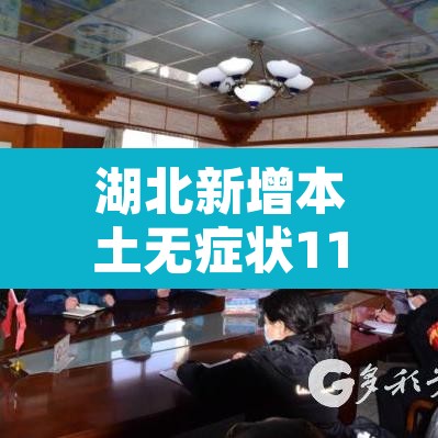 湖北新增本土无症状11例 → 湖北新增无症状感染者9例,现有确诊病例6例 湖北新增本土无症状11例 → 湖北新增无症状感染者9例,现有确诊病例6例