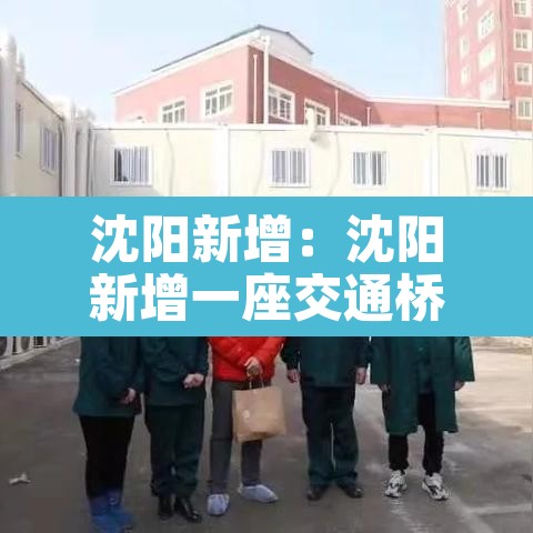 沈阳新增:沈阳新增一座交通桥 就在鸟岛南侧