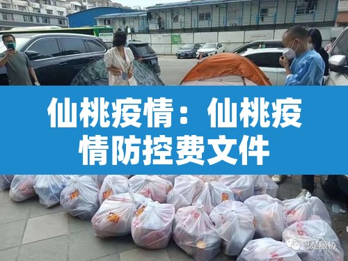 仙桃疫情:仙桃疫情防控费文件