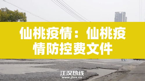 仙桃疫情：仙桃疫情防控费文件