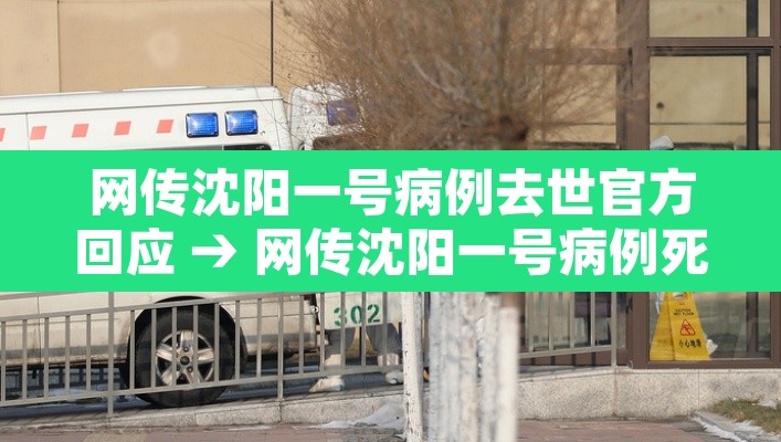 网传沈阳一号病例去世官方回应 → 网传沈阳一号病例死亡 网传沈阳一号病例去世官方回应 → 网传沈阳一号病例死亡
