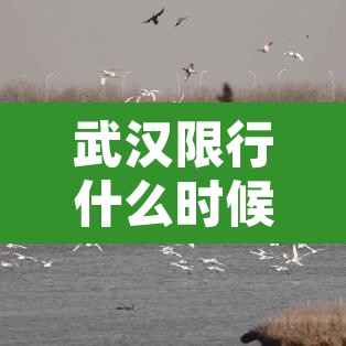 武汉限行什么时候轮换：武汉限行按星期几还是几号?