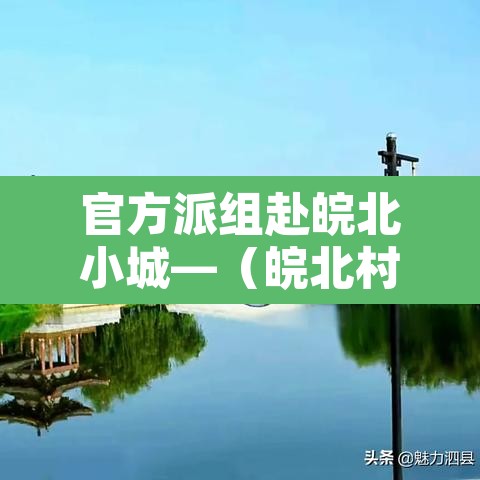官方派组赴皖北小城—(皖北村落) 官方派组赴皖北小城—(皖北村落)