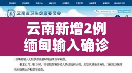 云南新增2例缅甸输入确诊：云南缅甸新冠肺炎