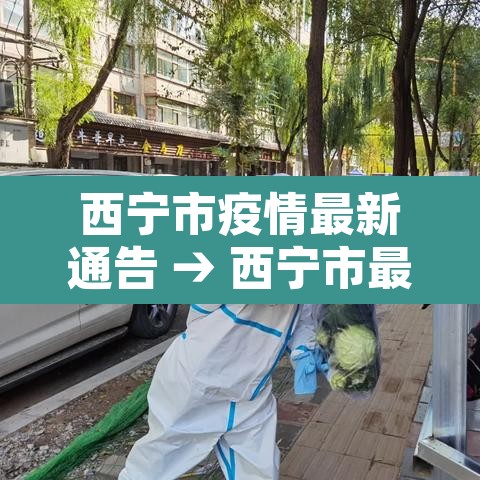 西宁市疫情最新通告 → 西宁市最新消息
