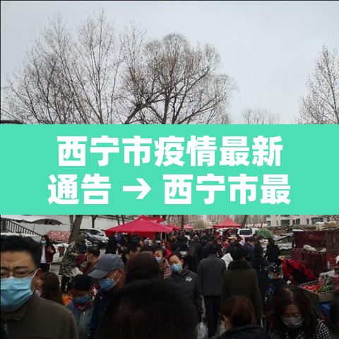 西宁市疫情最新通告 → 西宁市最新消息