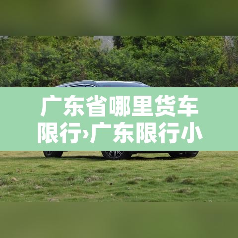 广东省哪里货车限行›广东限行小货车的地方 广东省哪里货车限行›广东限行小货车的地方