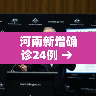 河南新增确诊24例 → 河南 新增确诊 河南新增确诊24例 → 河南 新增确诊