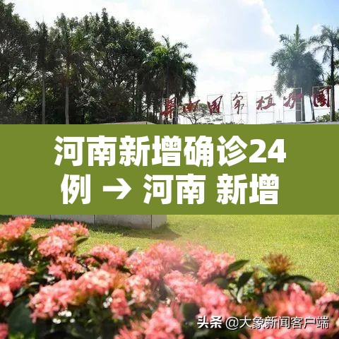 河南新增确诊24例 → 河南 新增确诊 河南新增确诊24例 → 河南 新增确诊