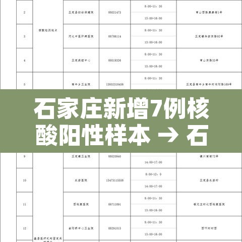 石家庄新增7例核酸阳性样本 → 石家庄354名核酸检测阳性人员分布 石家庄新增7例核酸阳性样本 → 石家庄354名核酸检测阳性人员分布