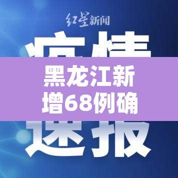 黑龙江新增68例确诊：黑龙江新增6例确诊病例,累计确诊15例