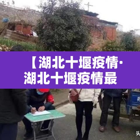 【湖北十堰疫情·湖北十堰疫情最新报道】 【湖北十堰疫情·湖北十堰疫情最新报道】