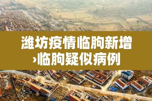 潍坊疫情临朐新增›临朐疑似病例