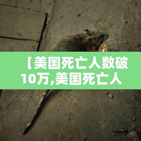 【美国死亡人数破10万,美国死亡人数高达多少】