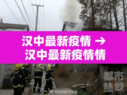 汉中最新疫情 → 汉中最新疫情情况